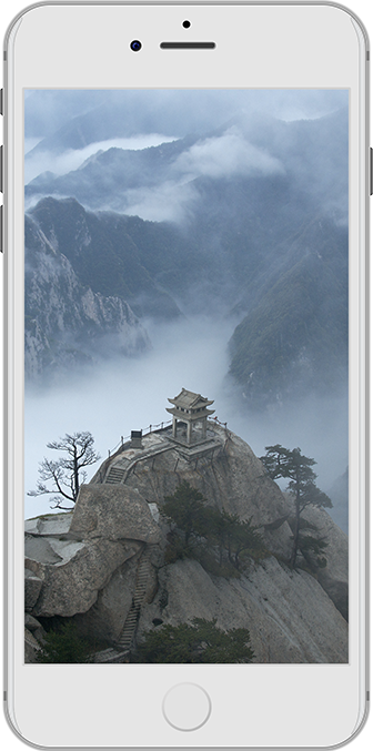 cc网页端